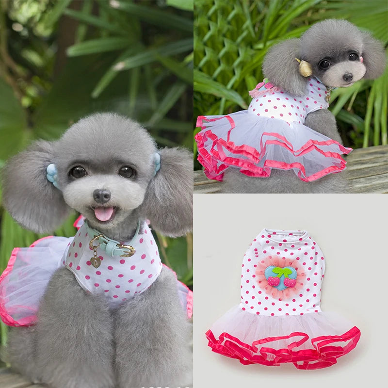 Pet Puppy Lace Dress Dogs Dot Short Princess Skirt Cherry Pattern Dog Party Dresses Chihuahua Dog Wedding Dress Dog Clothes